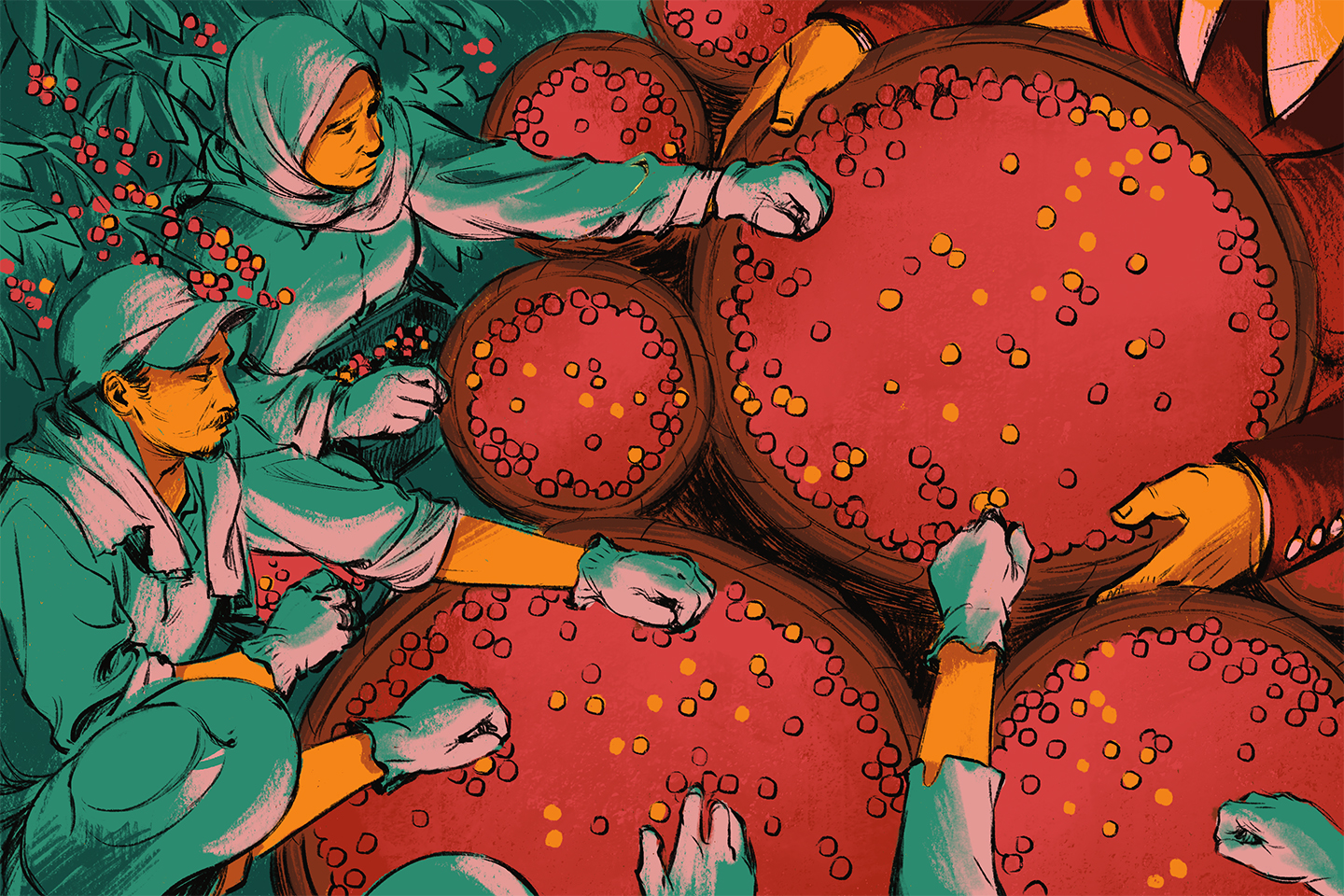The origins of coffee in Asia: What goes into your morning brew?