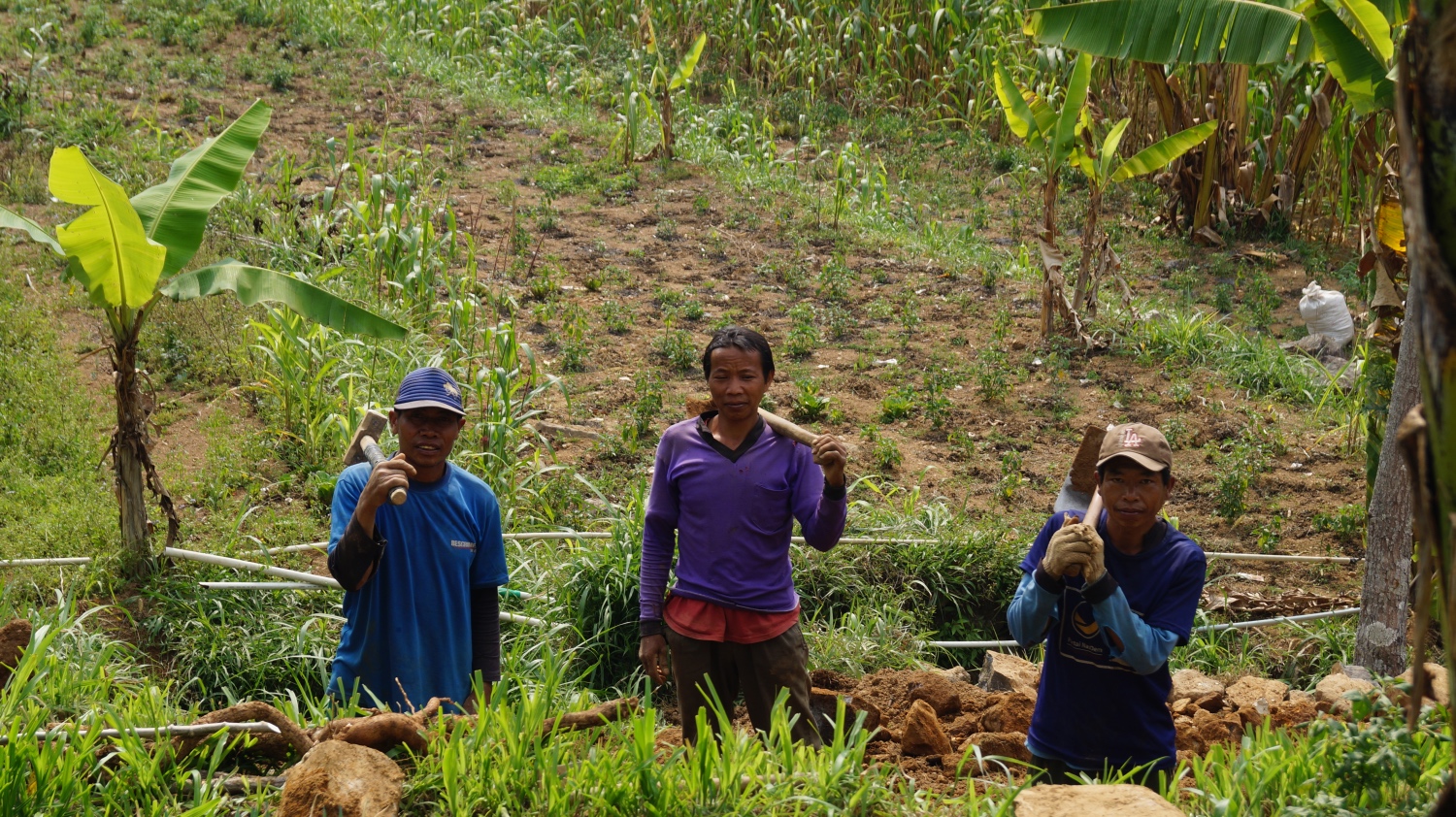 Farmers at Gondang village in Central Java.