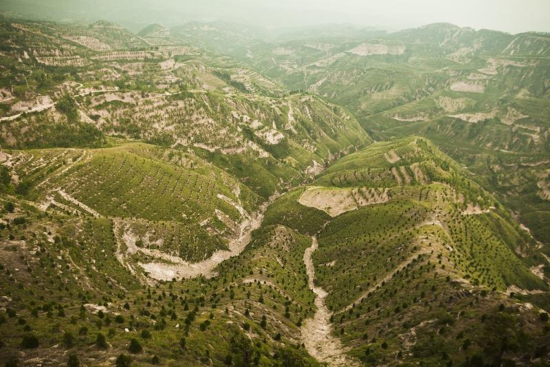 Reforested mountains in Shanxi province, China.