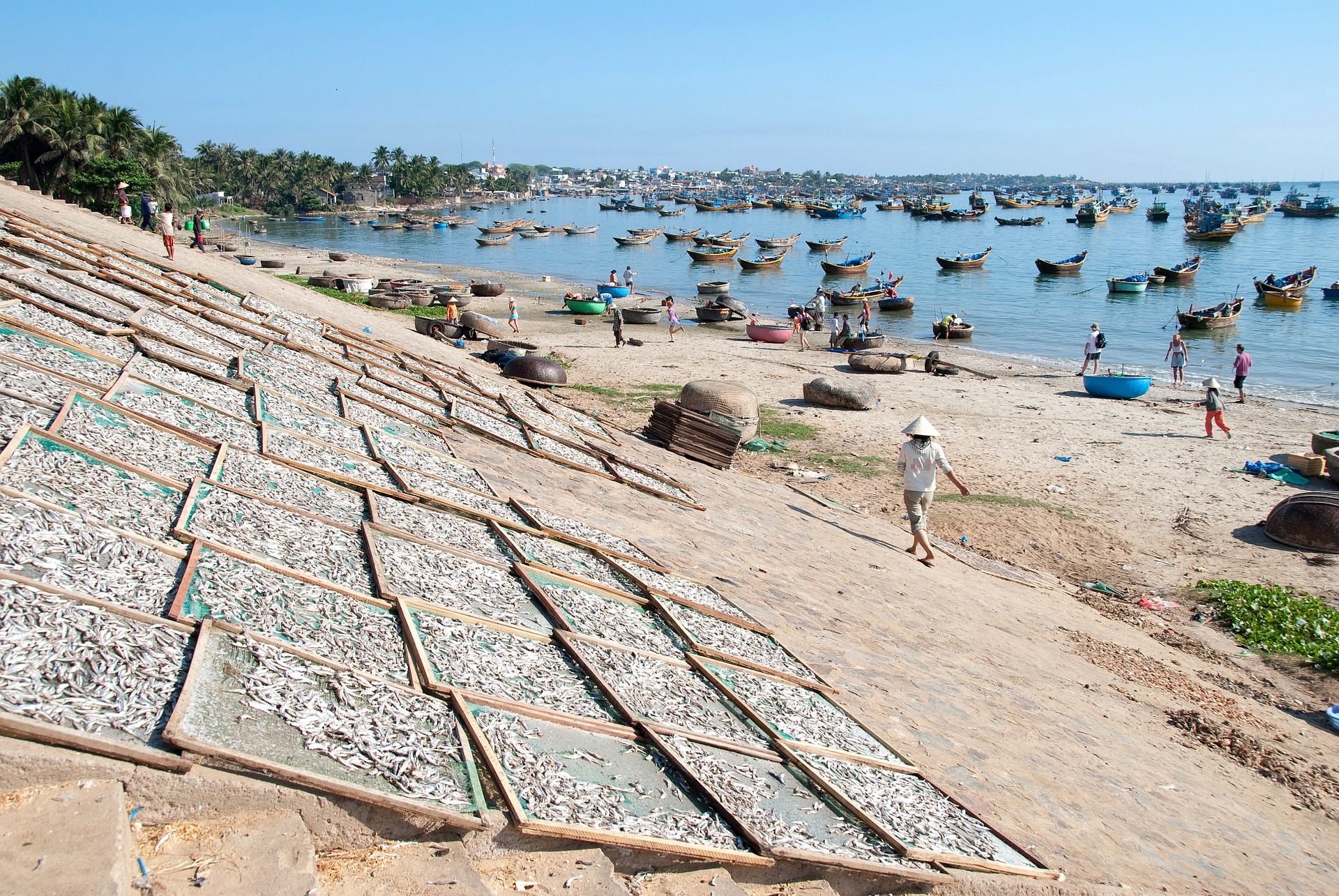 “Dam if you do, Dam if you don’t” - Hydropower in the Mekong