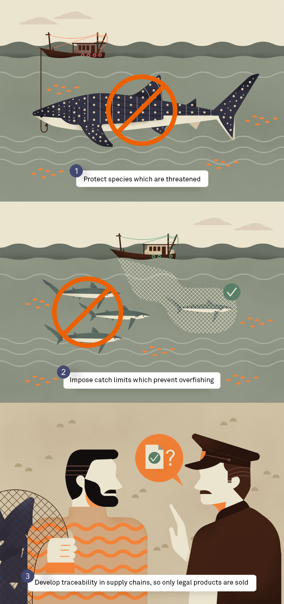 An infographic showing the three different methods of sustainably catching sharks.