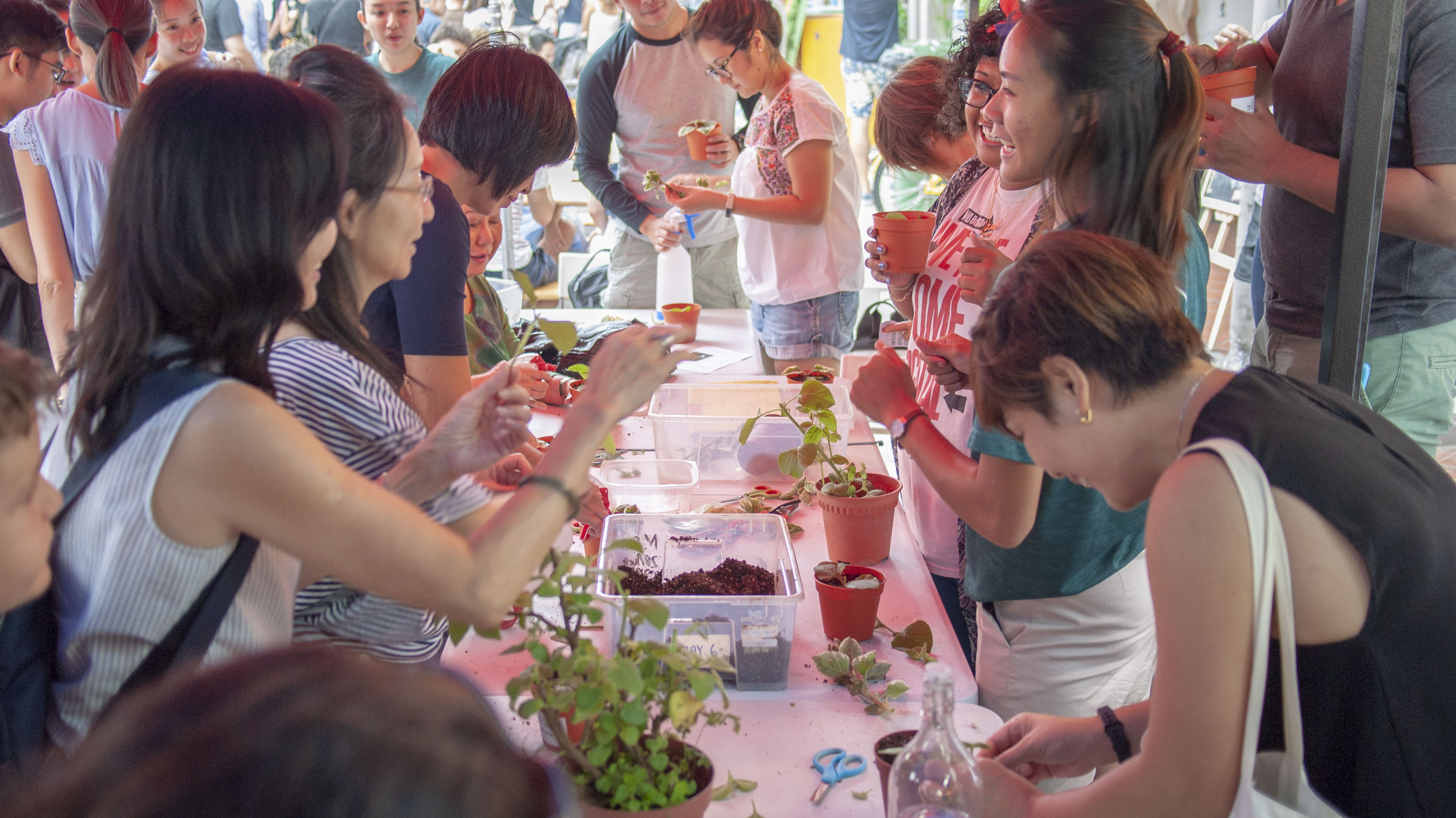 Growing our own: The role we play in ensuring Singapore’s food resilience