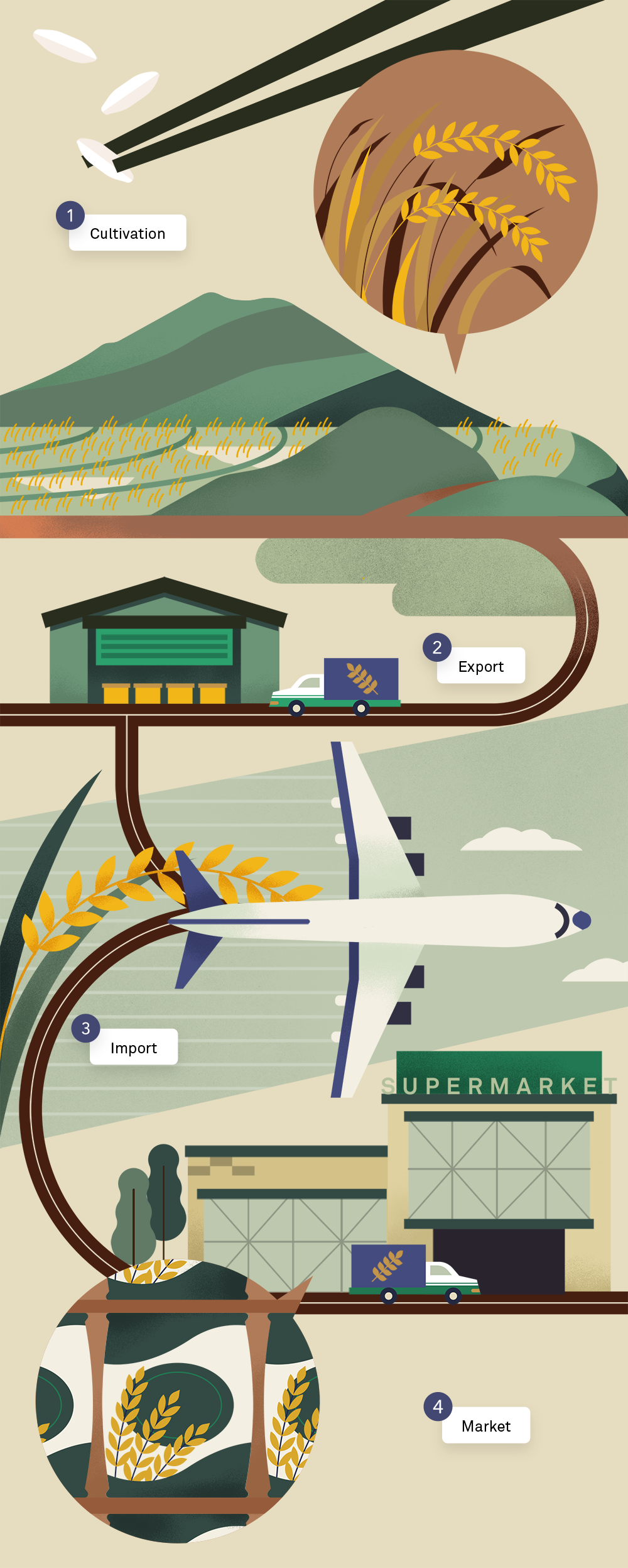 An infographic showing the journey of a rice, from cultivation to being sold in markets.