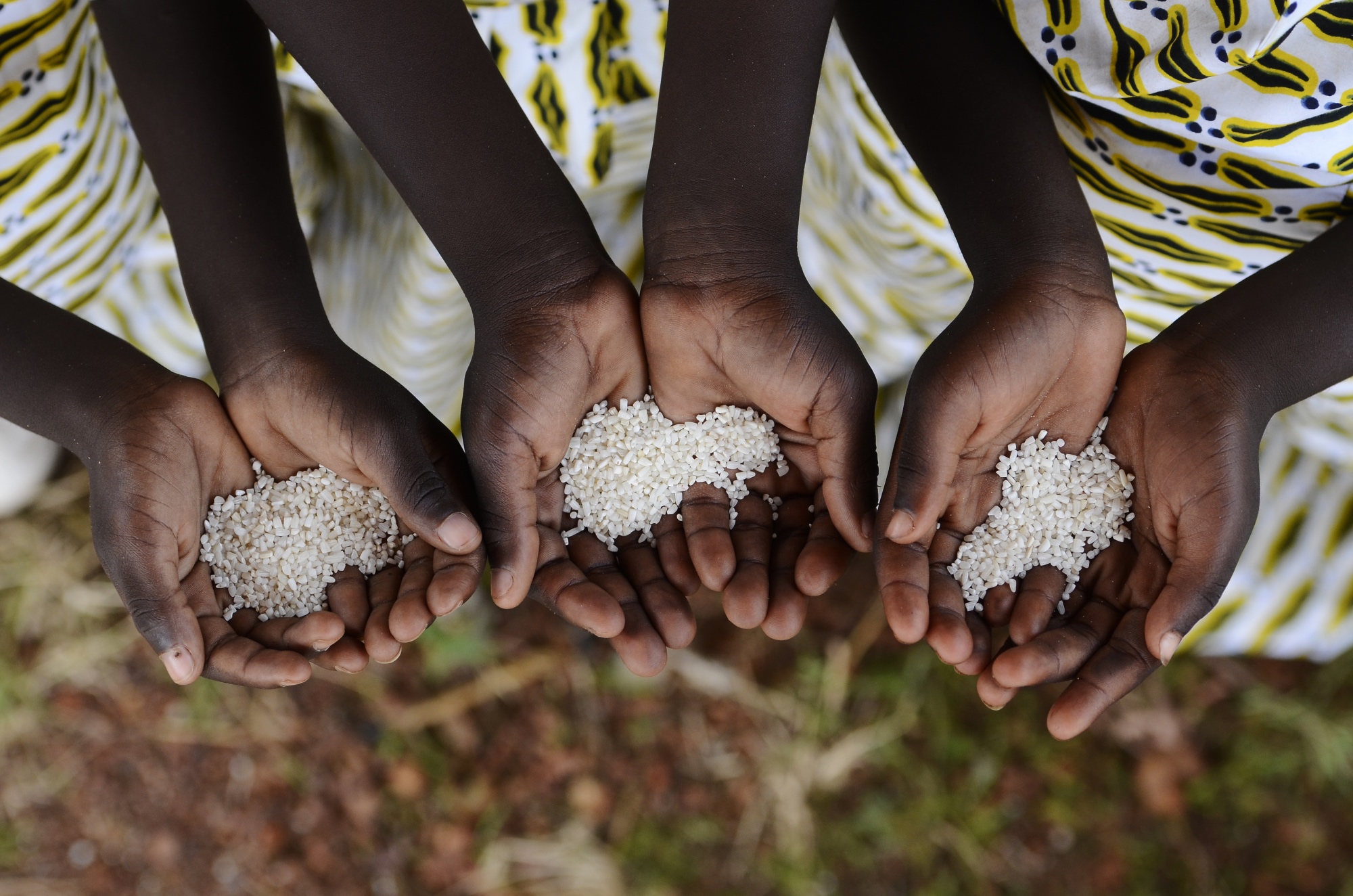 Three hands holding rice.