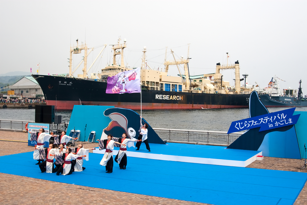 Japan resumes commercial whaling: Why and what are its implications?