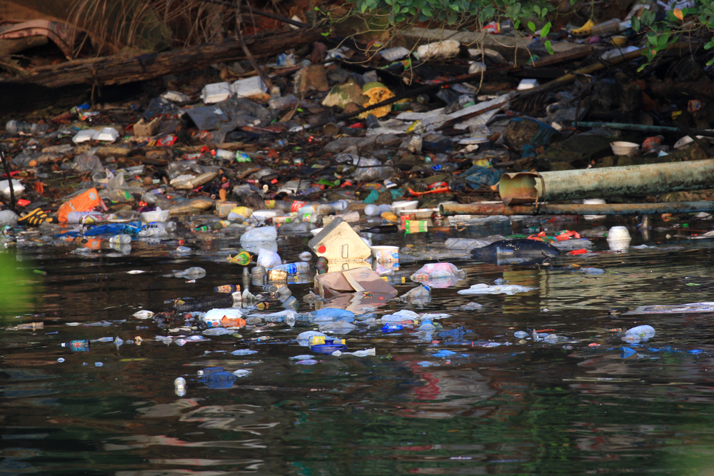 How plastics came to be and why it's hurting us now