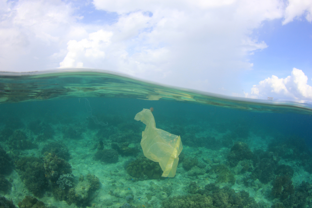 How plastics came to be and why it's hurting us now