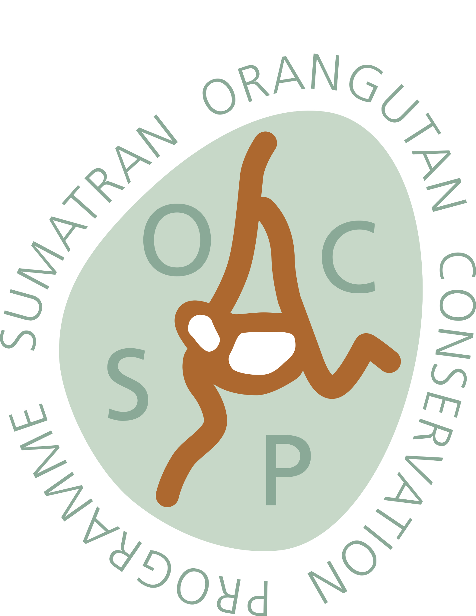 SOCP logo