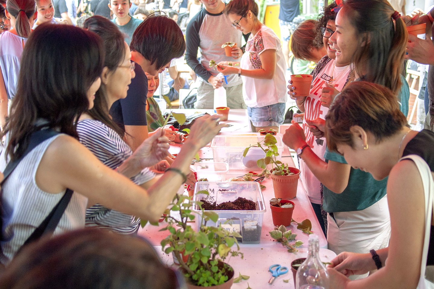 Growing our own: The role we play in ensuring Singapore’s food resilience