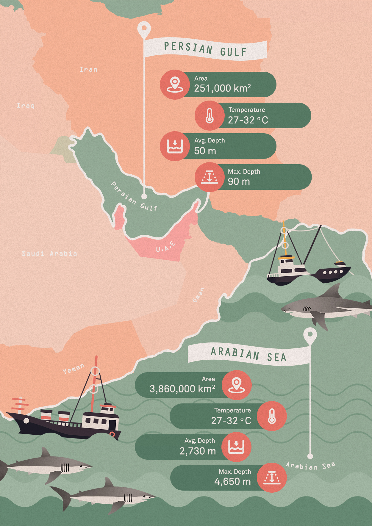 What’s killing the sharks of the Persian Gulf?